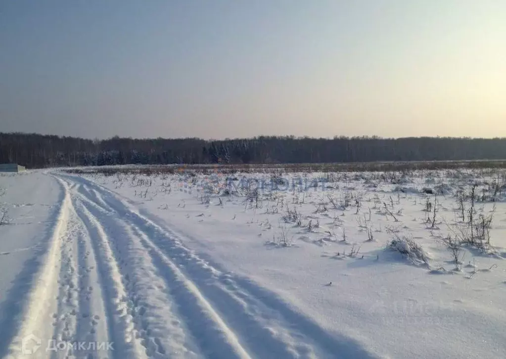 Участок в Нижегородская область, Дальнеконстантиновский муниципальный ... - Фото 1