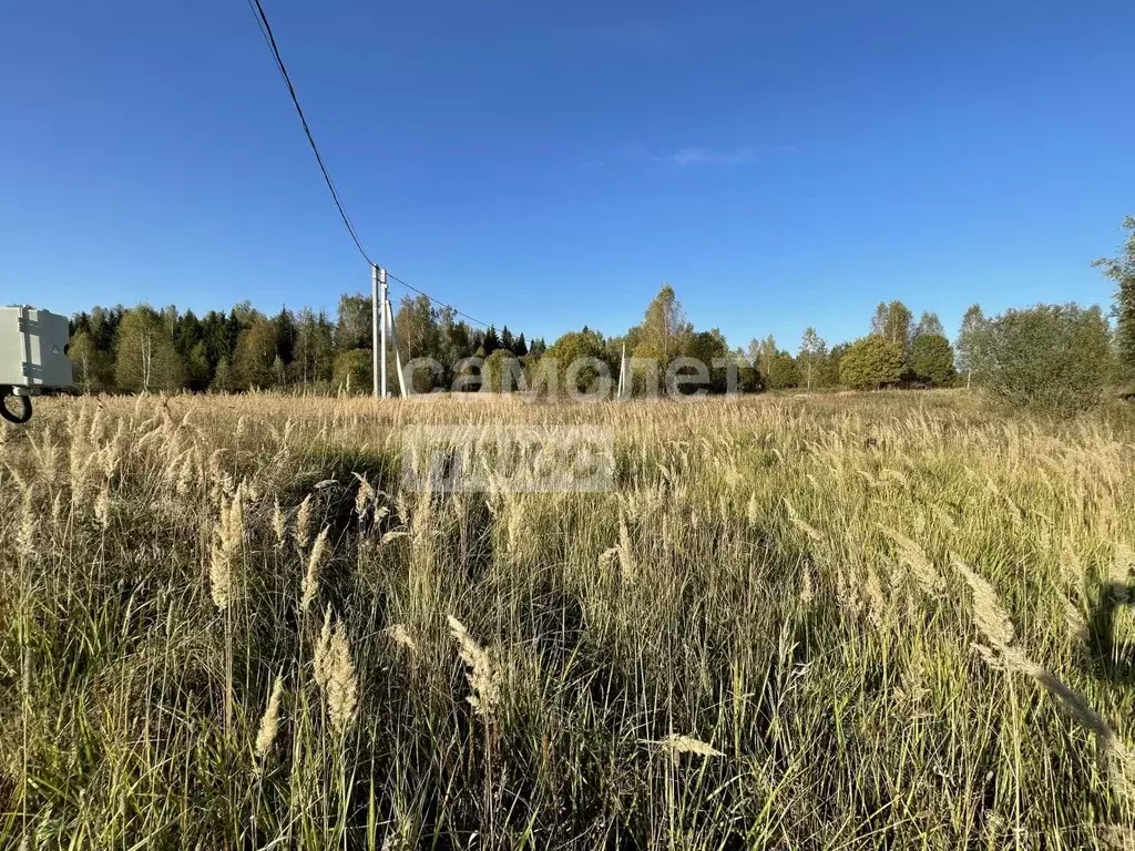 Участок в Московская область, Солнечногорск городской округ, д. ... - Фото 0