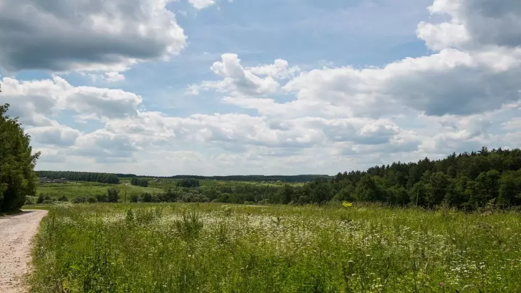 Участок в Тульская область, Ясногорский район, Теляковское ... - Фото 1