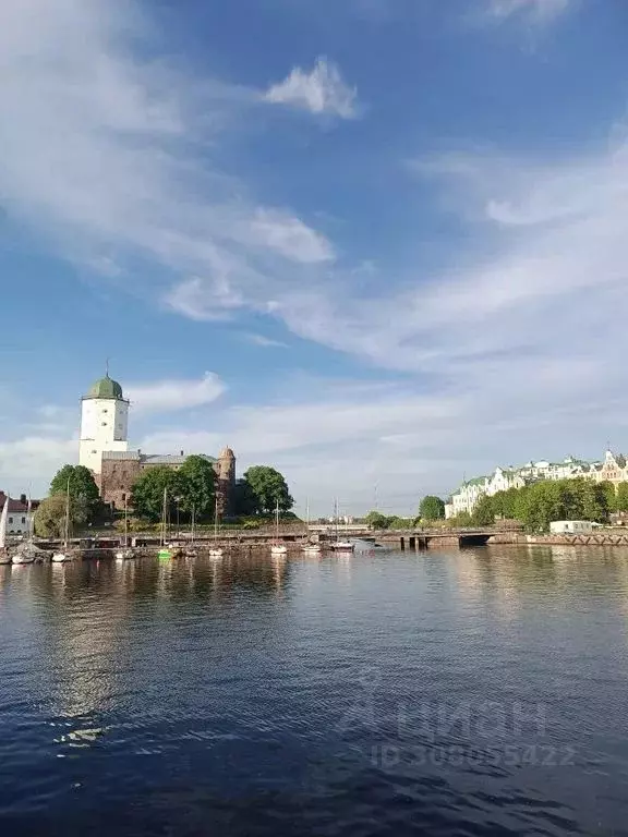 1-к кв. Ленинградская область, Выборг ул. Германа Титова, 4 (45.0 м) - Фото 1