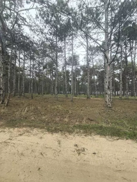 Участок в Крым, Ленинский район, Останинское с/пос, с. Песочное ул. ... - Фото 1