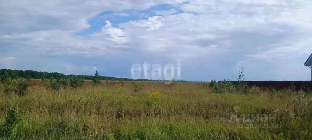 Участок в Владимирская область, Муромский район, с. Ковардицы ул. 75 ... - Фото 1