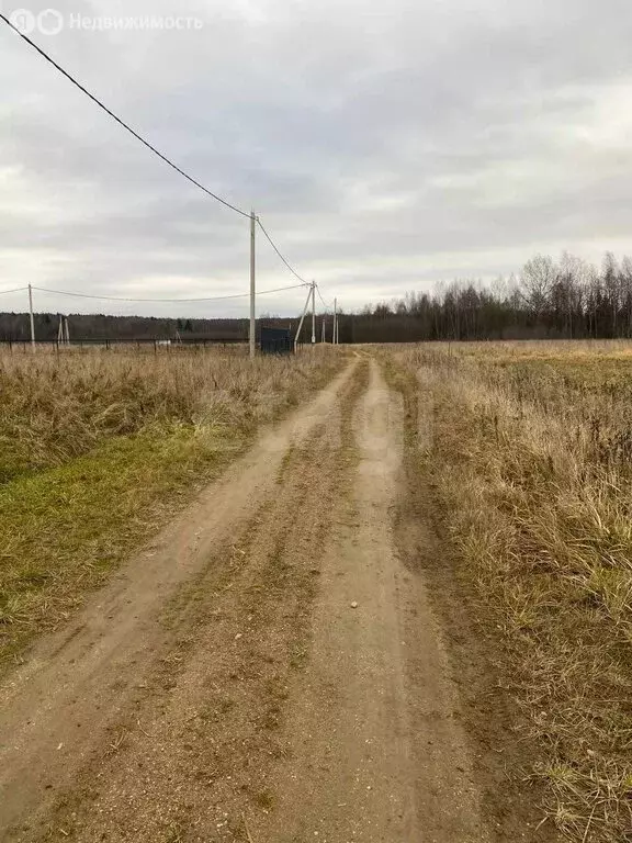 Участок в Ярославский муниципальный округ, село Еремеевское, Новая ... - Фото 1