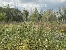 Участок в Амурская область, Благовещенский муниципальный округ, село ... - Фото 1