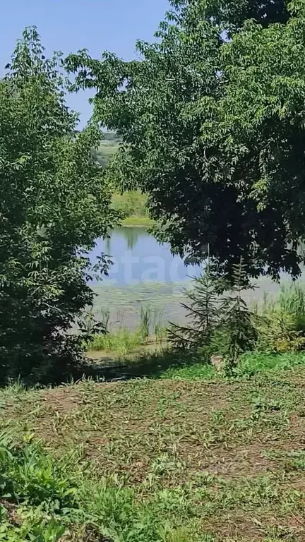 Участок в Мордовия, Краснослободский район, Старогоряшинское с/пос, д. ... - Фото 1