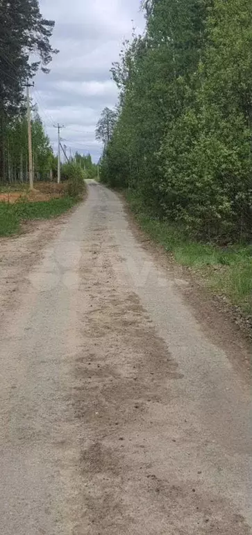 Участок 9,5 сот. (ИЖС) - Фото 1