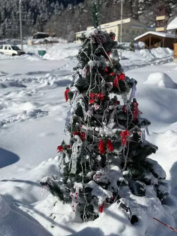 Дом в Карачаево-Черкесия, Зеленчукский район, с. Архыз ул. Банковская, ... - Фото 2