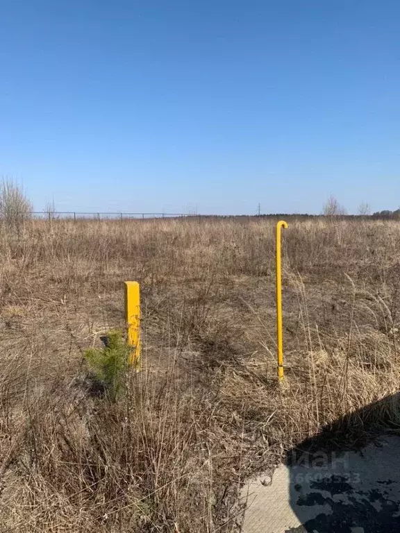 Участок в Москва д. Ширяево, аллея Березовая (15.0 сот.) - Фото 2