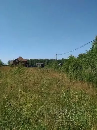 Участок в Московская область, Чехов муниципальный округ, д. Поповка  ... - Фото 2