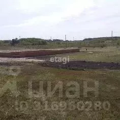 Участок в Курская область, Курск ДНТ Автолюбитель тер.,  (10.0 сот.) - Фото 1