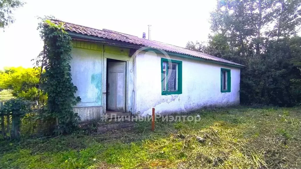 Дом в Рязанская область, Скопинский муниципальный округ, село ... - Фото 2