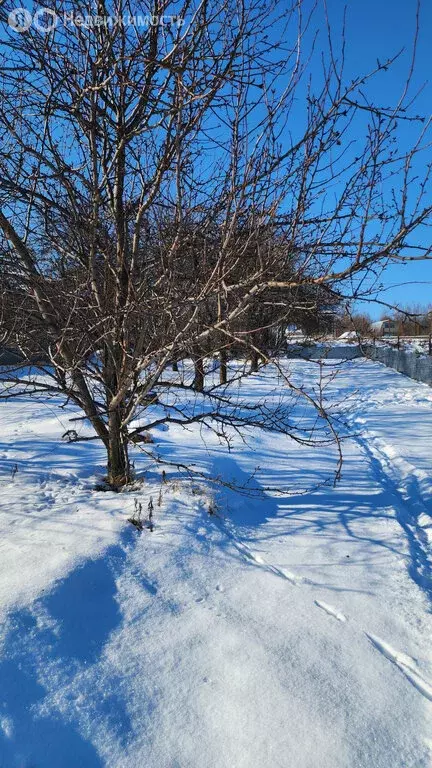 Участок в Нижегородская область, Кстовский муниципальный округ, ... - Фото 1