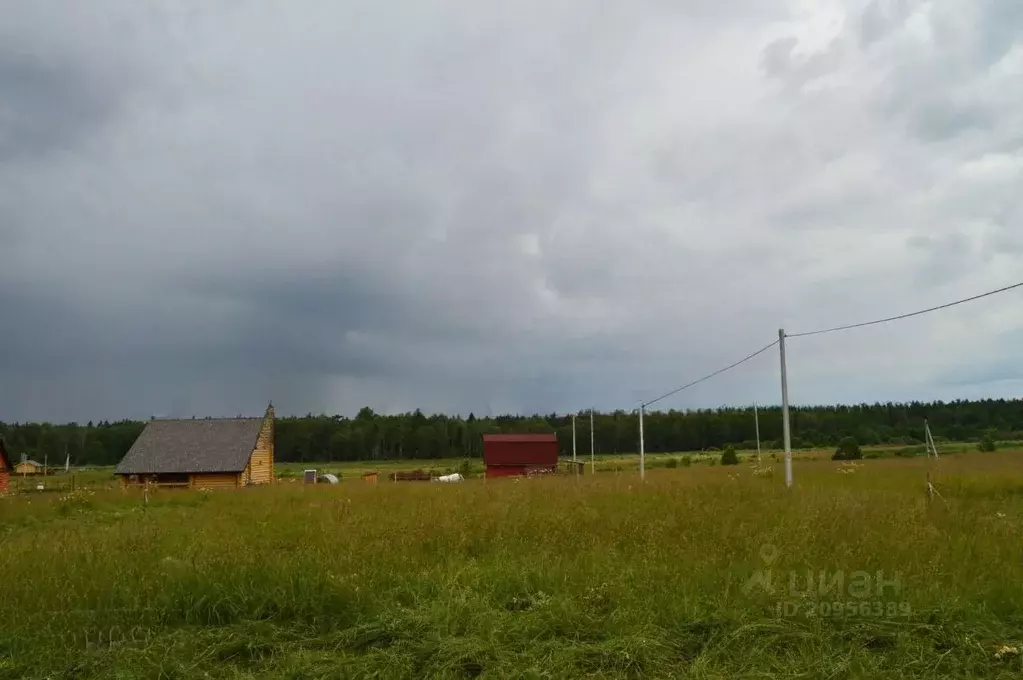 Участок в Костромская область, Красносельский район, Шолоховское ... - Фото 1