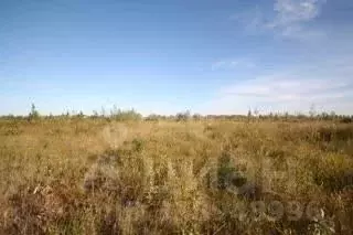 Участок в Ямало-Ненецкий АО, Новый Уренгой ул. 9-я Запрудная, 9 (6.0 ... - Фото 0