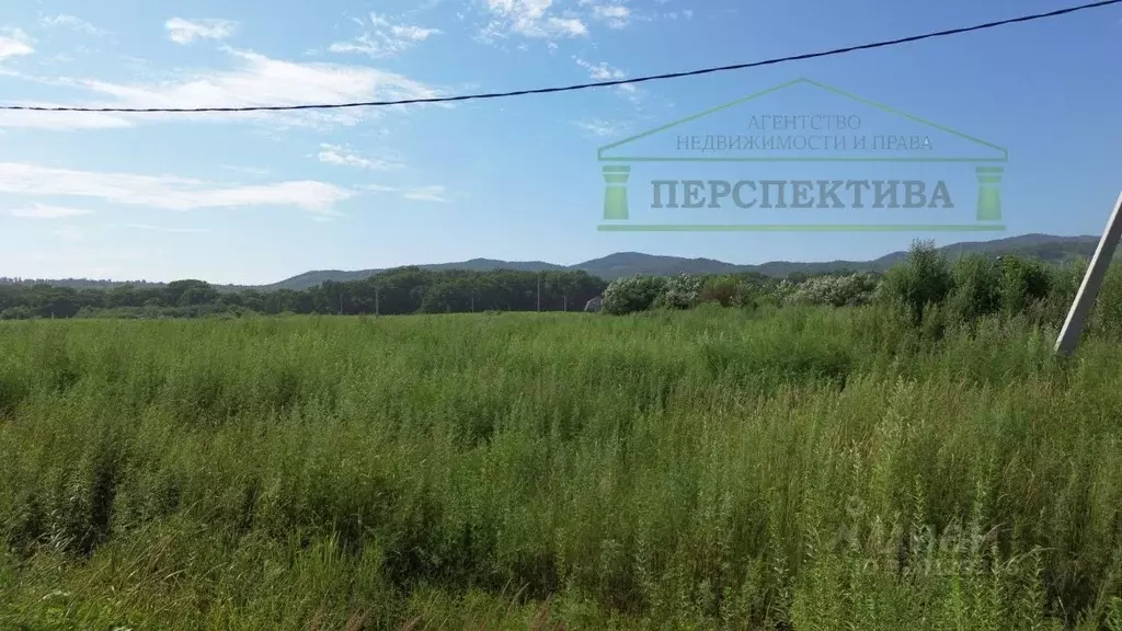 Участок в Приморский край, Артем ул. Павла Познякова, 54 (12.26 сот.) - Фото 0