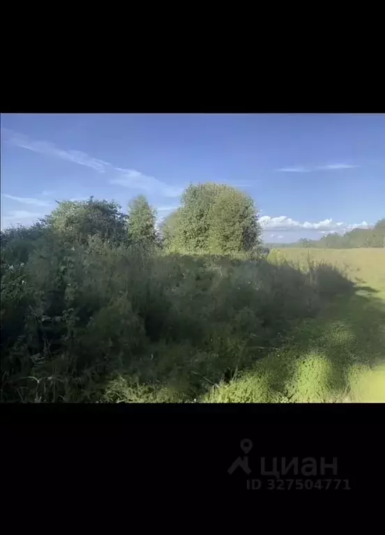 Участок в Ленинградская область, Выборгский район, Красносельское ... - Фото 1