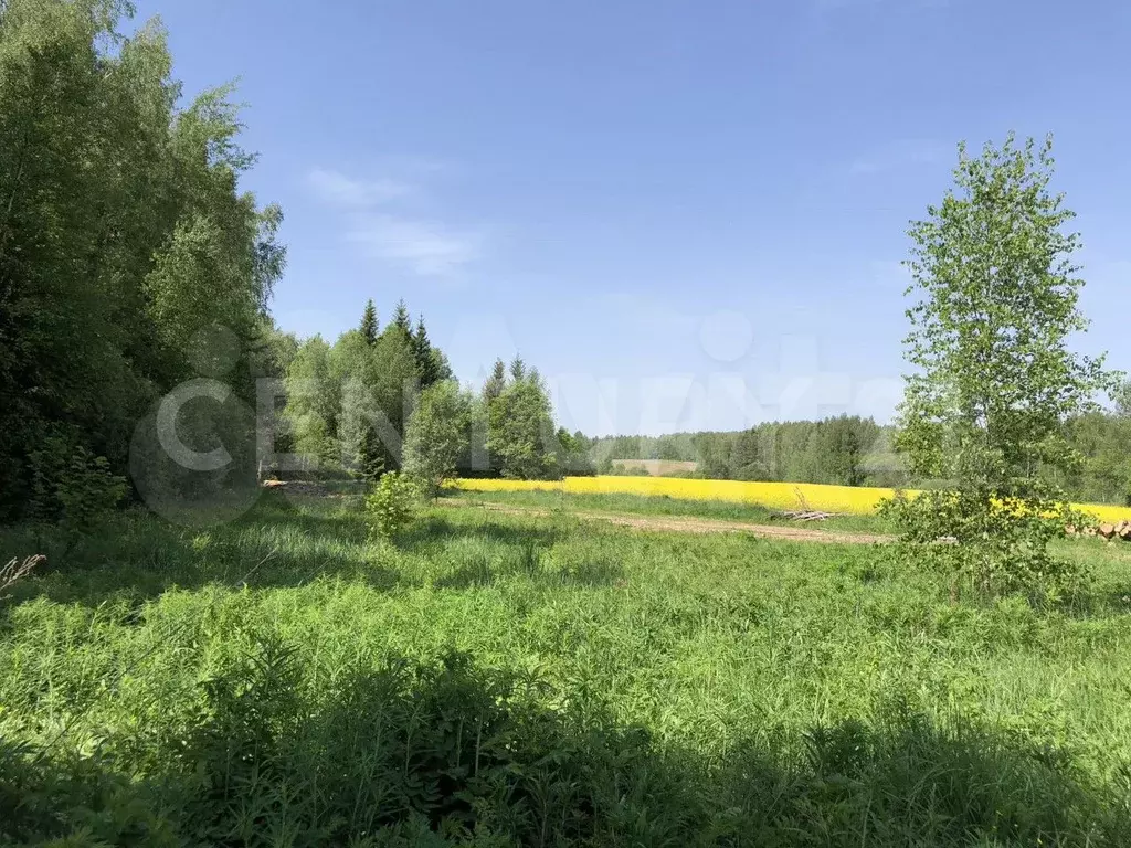 Участок 20 сот. (личное подсобное хозяйство (лпх)) - Фото 0