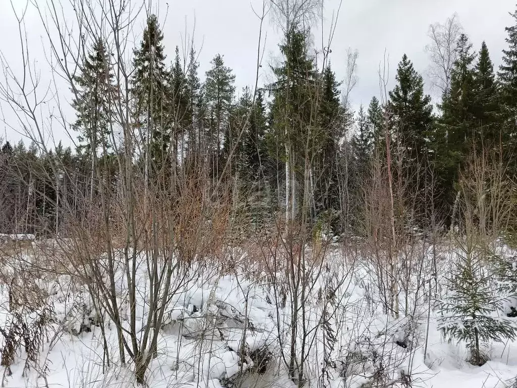 Участок в Коми, Сыктывкар городской округ, Краснозатонский пгт 1-я ... - Фото 0