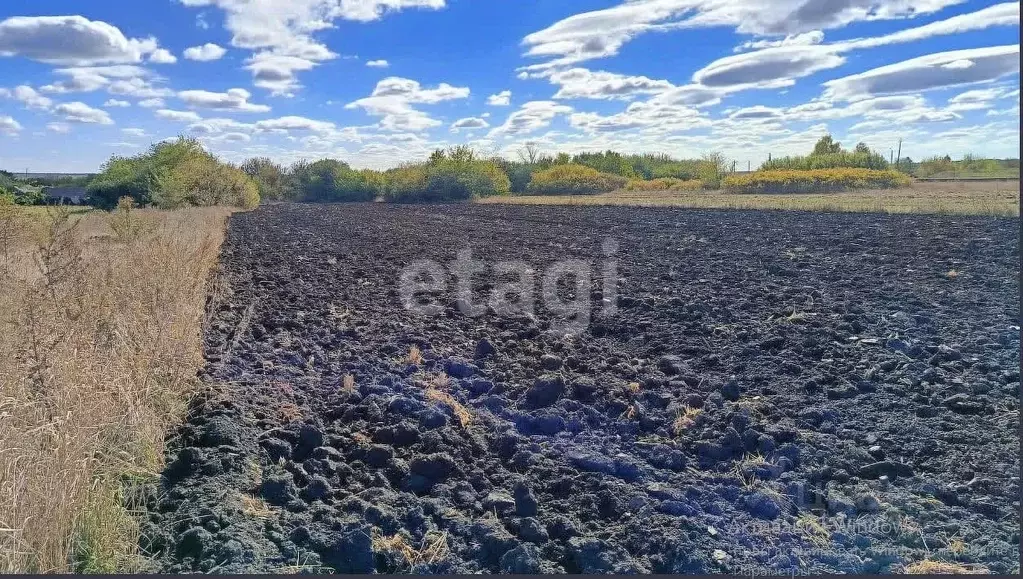 Участок в Белгородская область, Красногвардейский район, ... - Фото 1