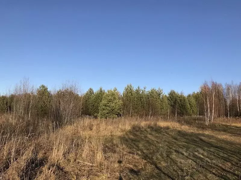 Участок в Тверская область, Кимрский муниципальный округ, Сельцо ... - Фото 2