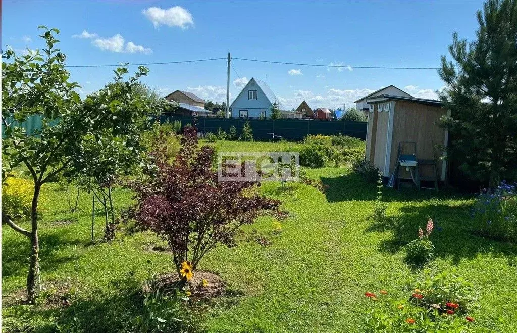 Участок в Московская область, Можайский муниципальный округ, Царские ... - Фото 2