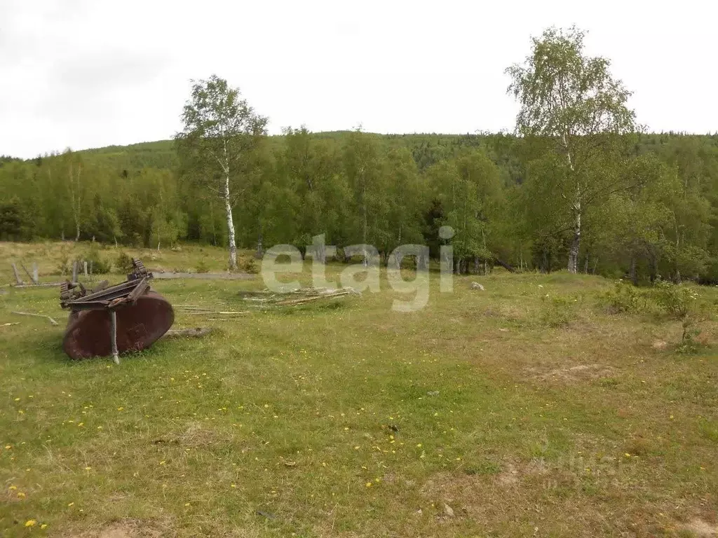 Участок в Бурятия, Бабушкин Кабанский район, Кяхтинская ул. (13.8 ... - Фото 1
