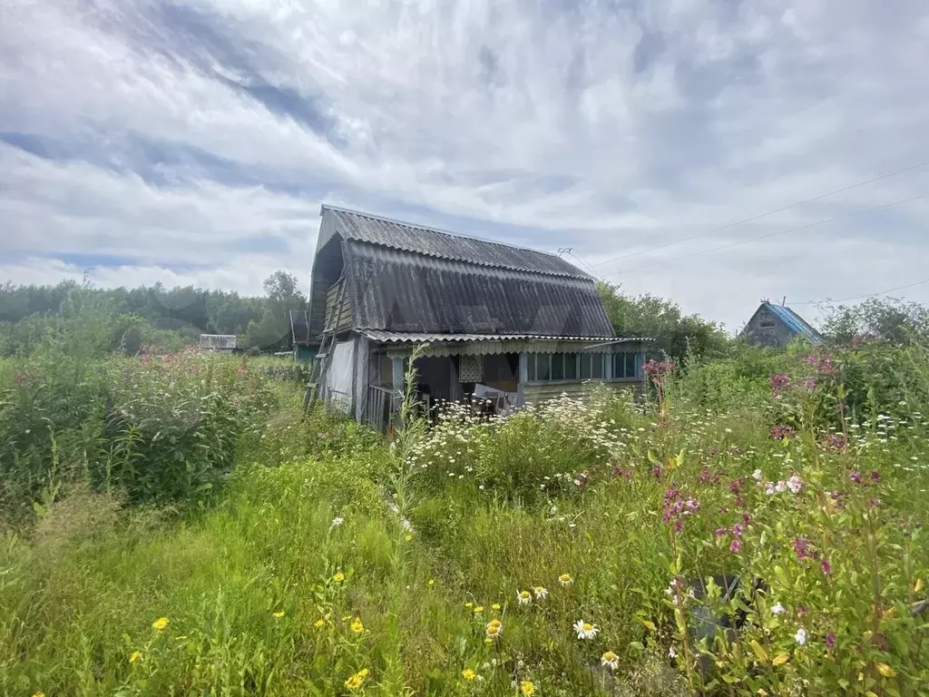 Купить Дачный Участок В Рязани Снт Весна