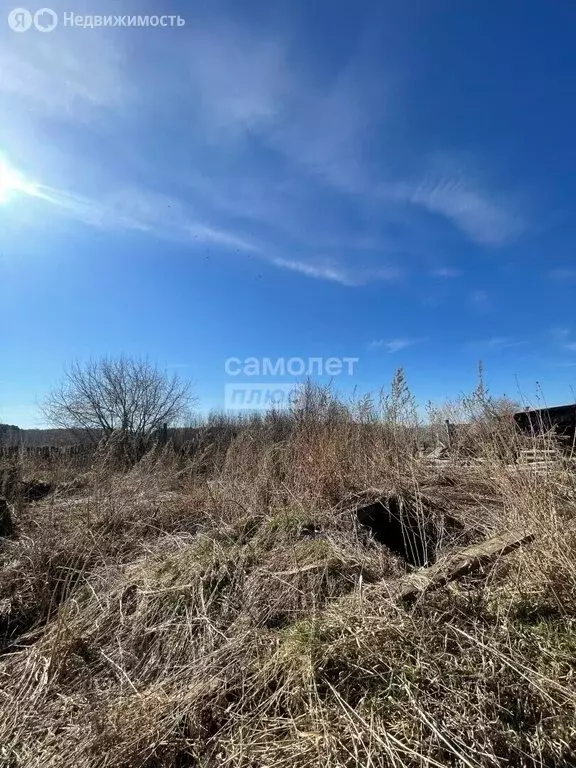 Участок в Тюменская область, Ишимский муниципальный округ, село ... - Фото 1