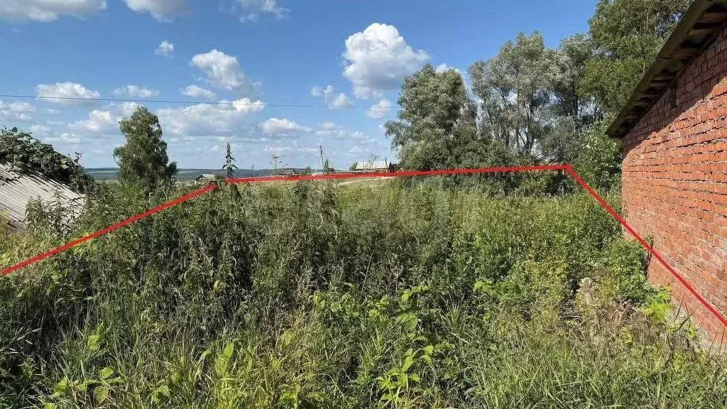 Участок в Башкортостан, Бирский район, Старопетровский сельсовет, с. ... - Фото 1