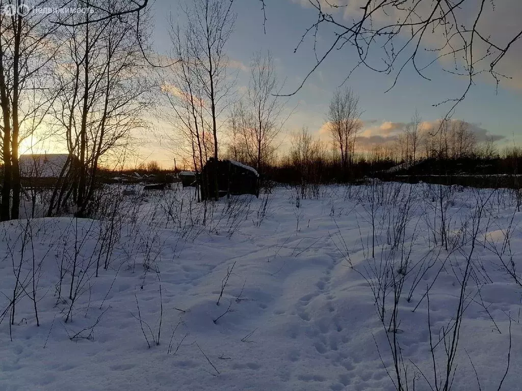 Участок в Ермолинское сельское поселение (1595 м) - Фото 2