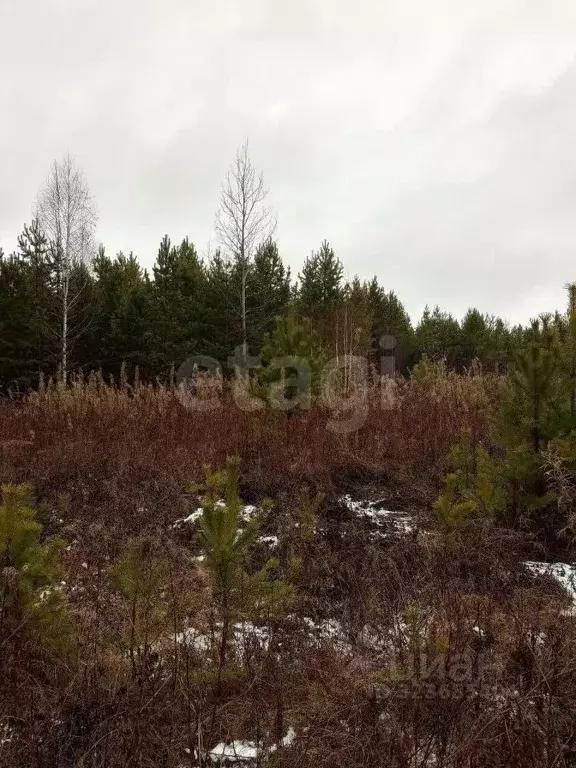 Участок в Свердловская область, Талица ул. Луначарского (12.06 сот.) - Фото 1