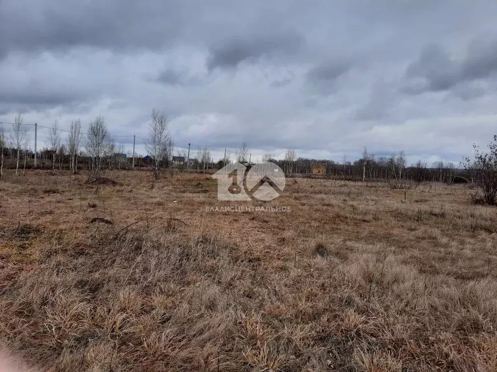 Участок в Новосибирская область, Новосибирский район, с. Верх-Тула, ... - Фото 1