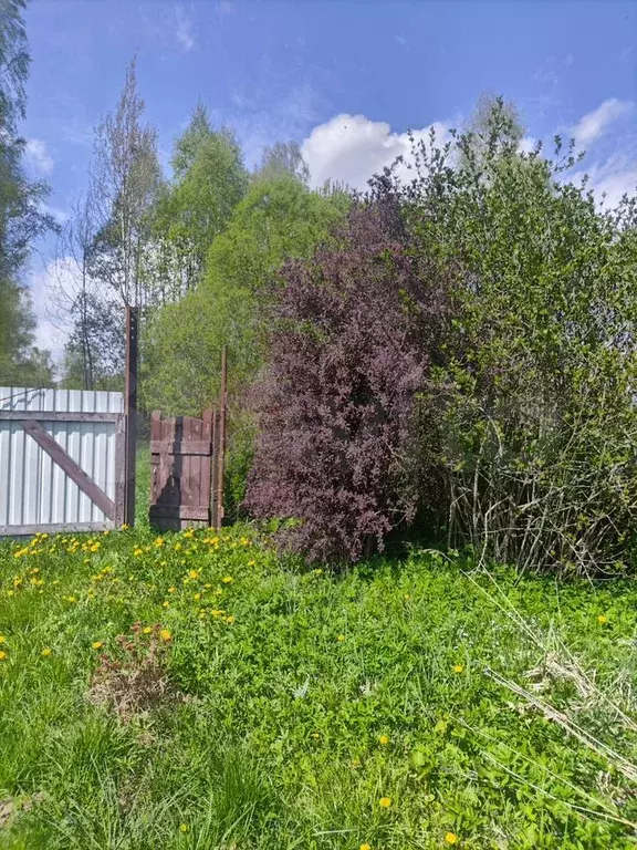Дом 60 м на участке 30 сот. - Фото 0