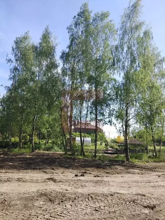 Участок в Калининградская область, Светловский городской округ, пос. ... - Фото 2
