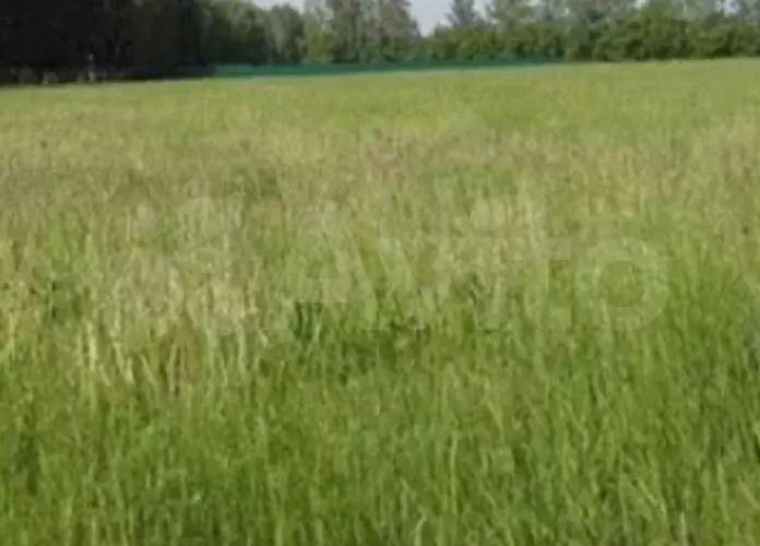 Участок 15 сот. (ИЖС) - Фото 0