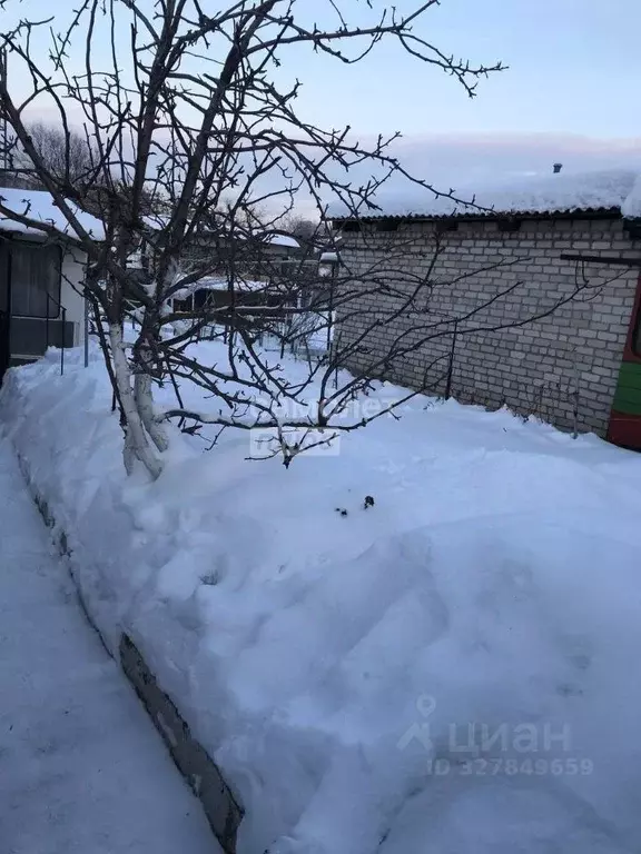 Дом в Алтайский край, Барнаул Рощинская ул., 16 (71 м) - Фото 2