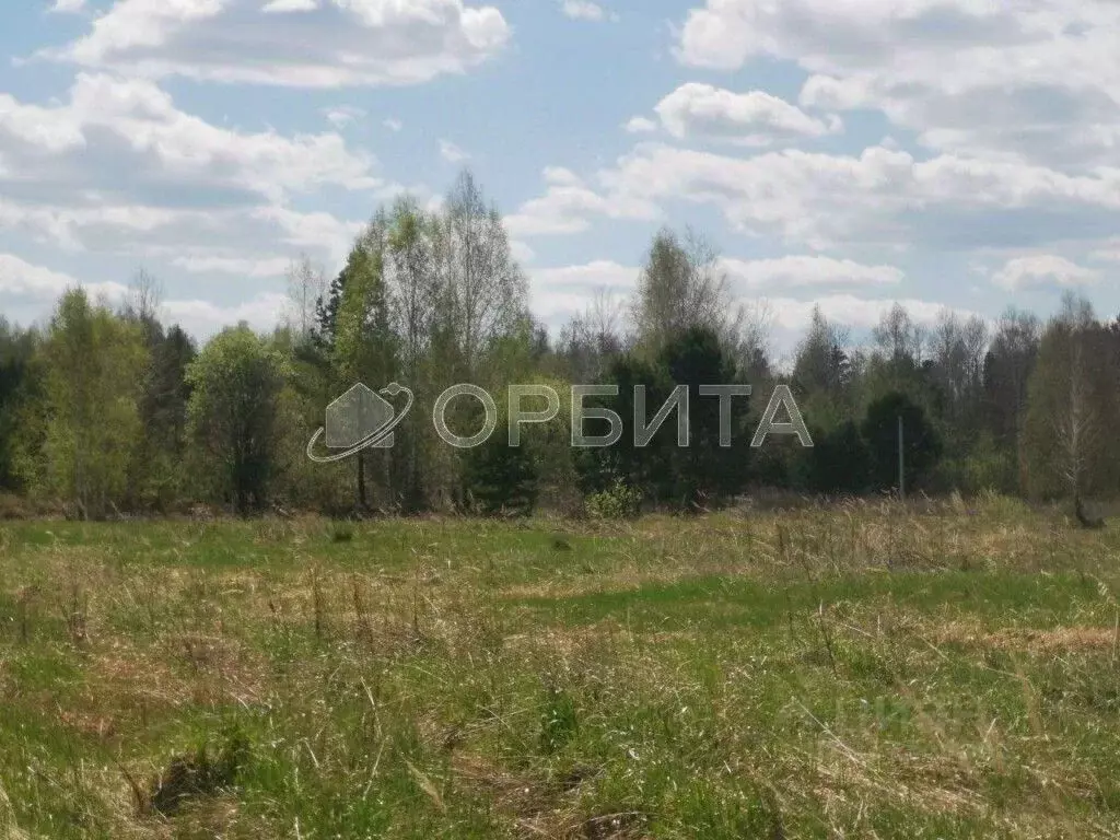 Участок в Тюменская область, Нижнетавдинский район, с. Тюнево  (8.75 ... - Фото 1