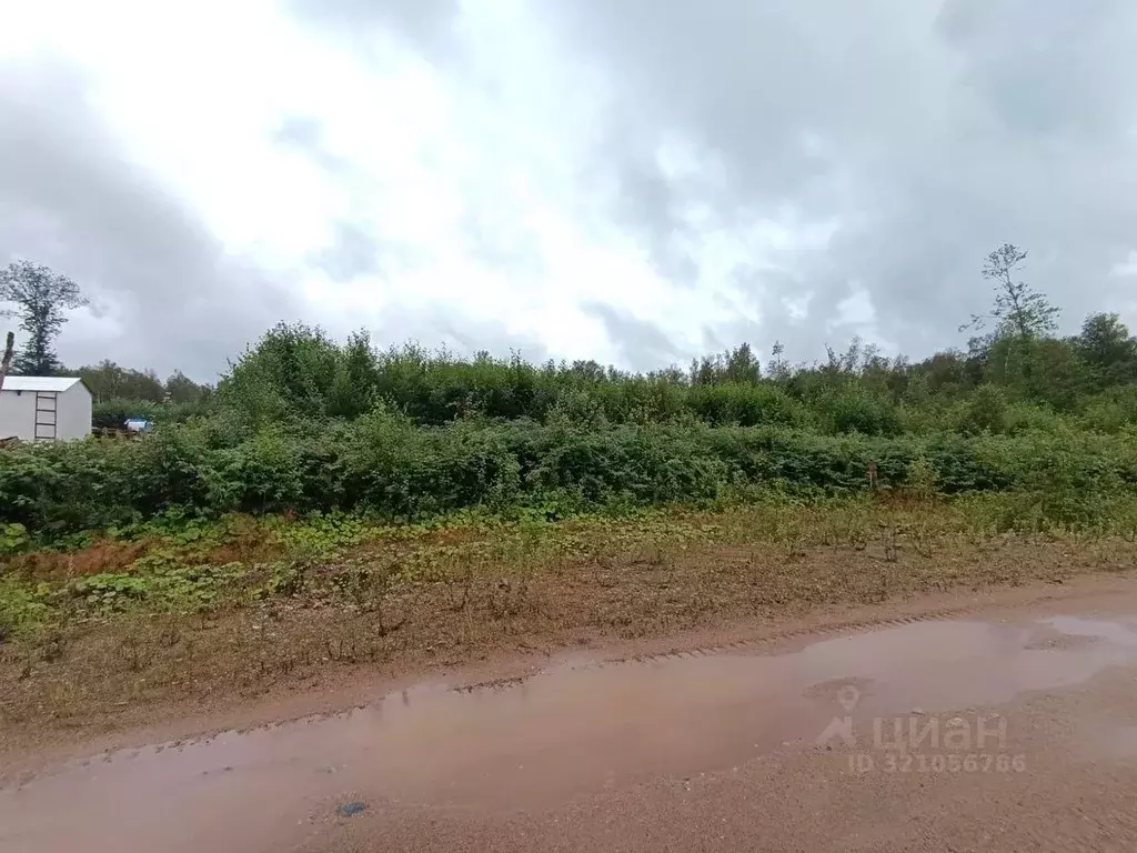 Участок в Новгородская область, Валдай ул. Алексея Маресьева, 21 (15.0 ... - Фото 0
