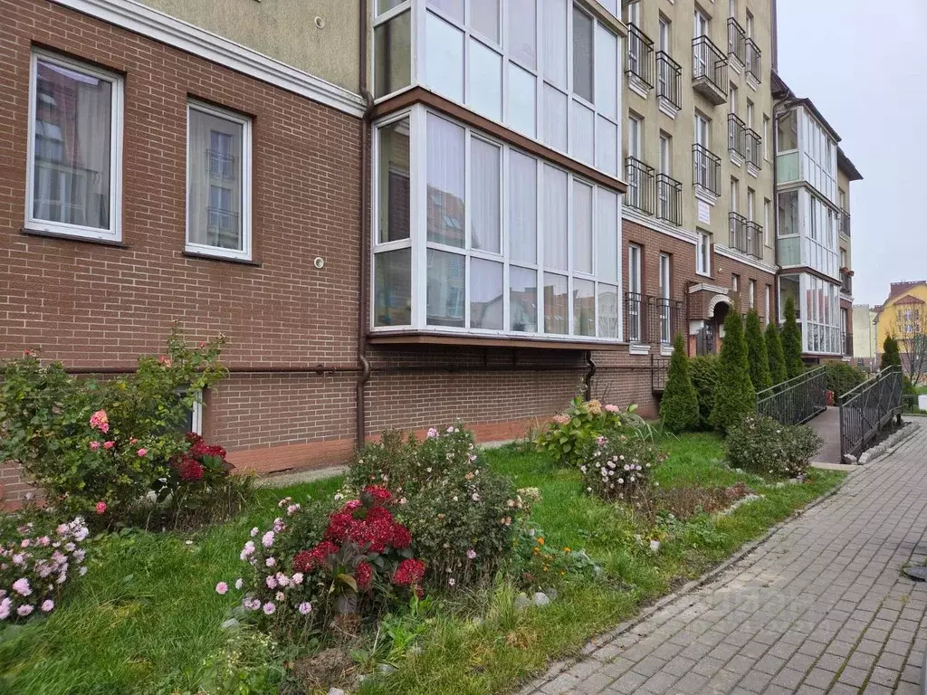 Студия Калининградская область, Гурьевск бул. Пражский, 7 (37.3 м) - Фото 1