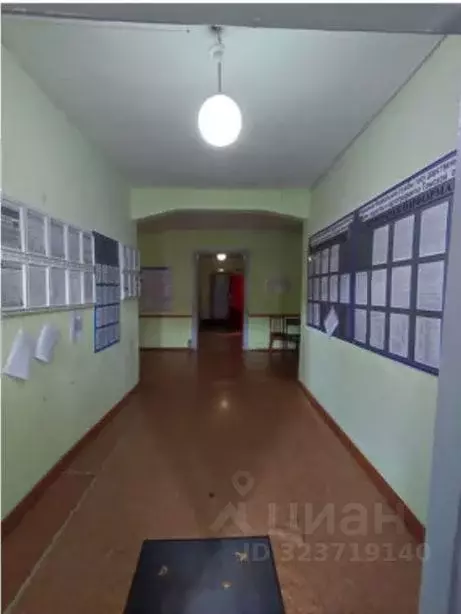 Помещение свободного назначения в Томская область, с. Бакчар ул. ... - Фото 1