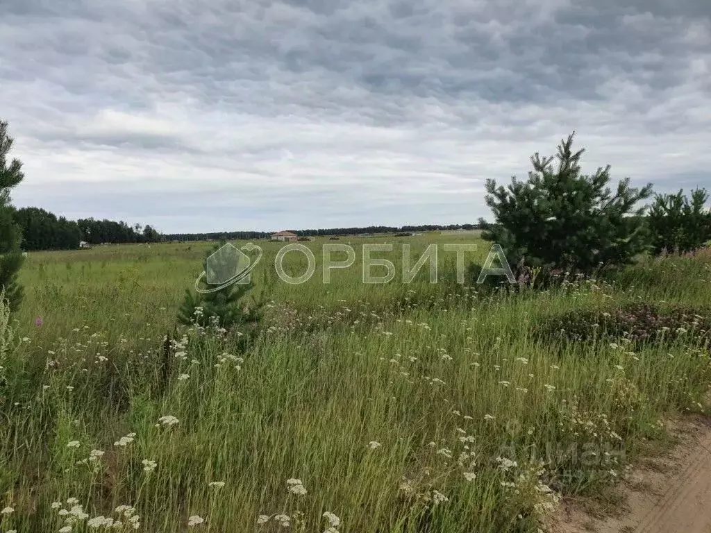 Участок в Тюменская область, Тюменский муниципальный округ, с. ... - Фото 1