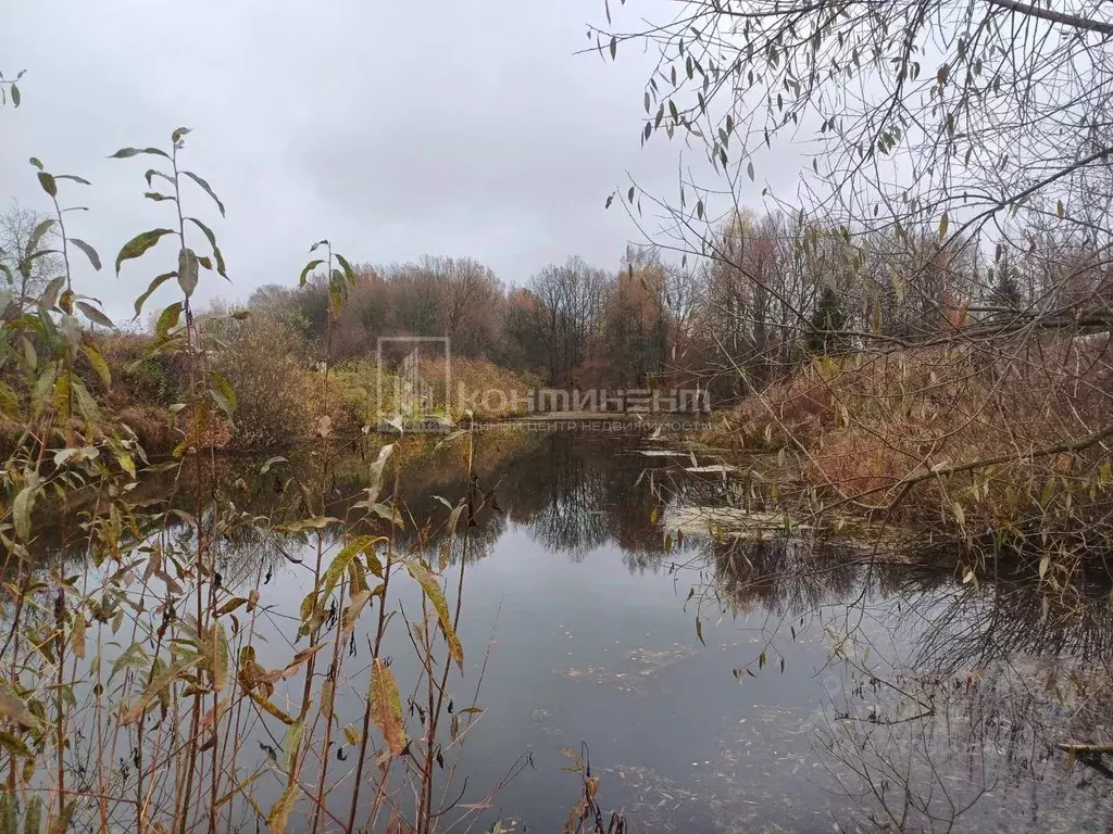Участок в Владимирская область, Суздальский район, Новоалександровское ... - Фото 1