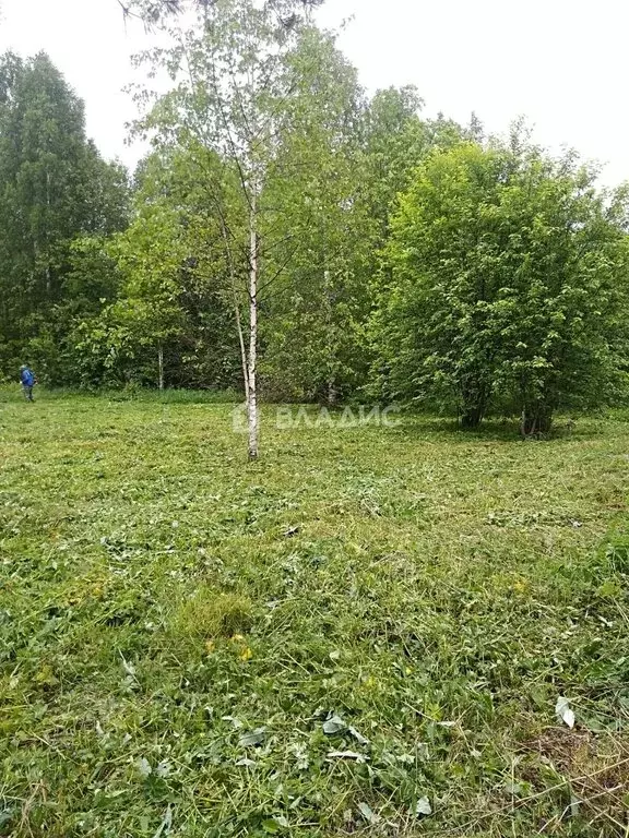 Участок в Вологодская область, Усть-Кубинский муниципальный округ, ... - Фото 0