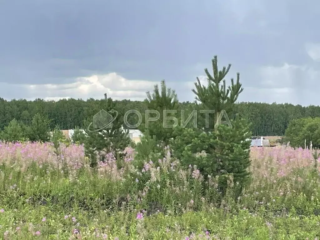 Участок в Тюменская область, Тюменский район, д. Елань 14 (6.5 сот.) - Фото 0