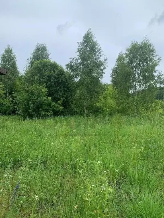 Участок в Калужская область, Калуга городской округ, с. Росва ул. ... - Фото 0