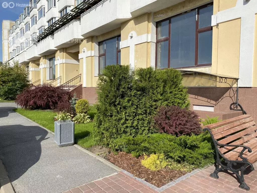 Квартира-студия: Петергоф, Разводная улица, 12 (673.2 м) - Фото 2