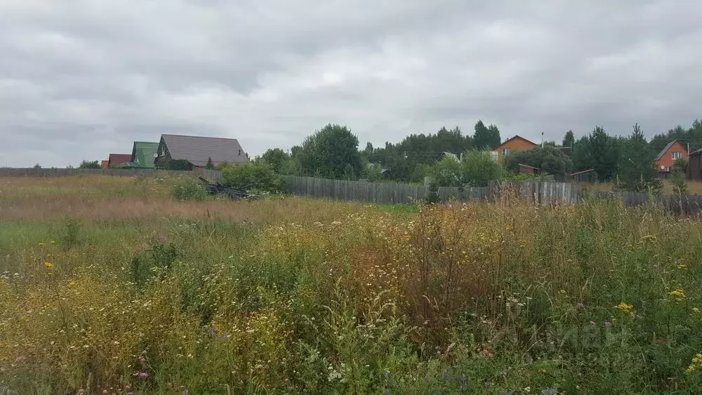 Участок в Владимирская область, Александровский муниципальный округ, ... - Фото 1