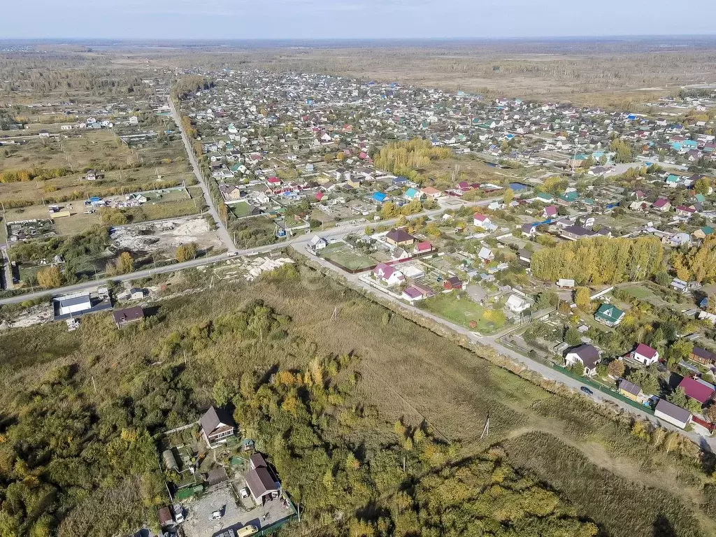 Участок в Тюменская область, Тюмень Садовое товарищество Липовый ., Купить  земельный участок в Тюмени, ID объекта - 20006580358