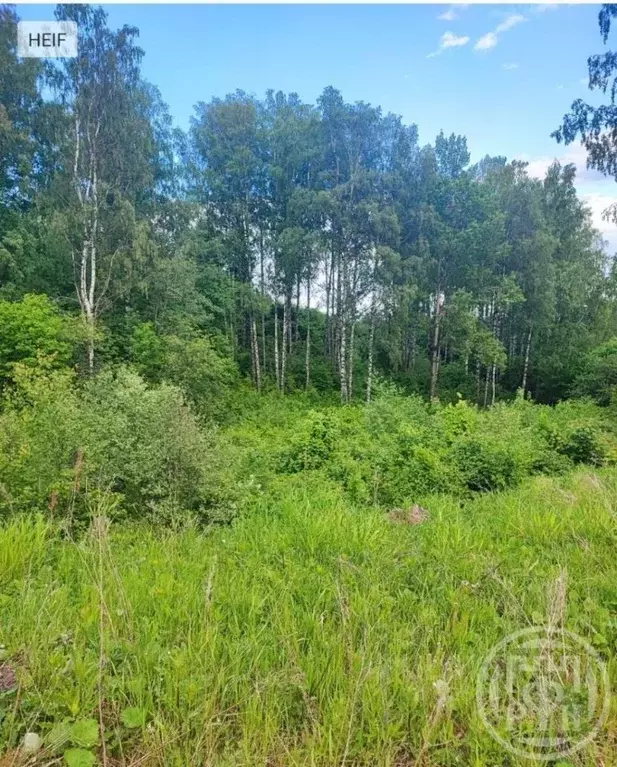 Участок в Ленинградская область, Всеволожский район, Колтушское ... - Фото 1