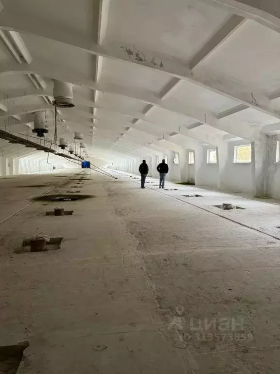 Производственное помещение в Владимирская область, Суздальский район, ... - Фото 1